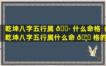 乾坤八字五行属 🌷 什么命格（乾坤八字五行属什么命 🦈 格的）